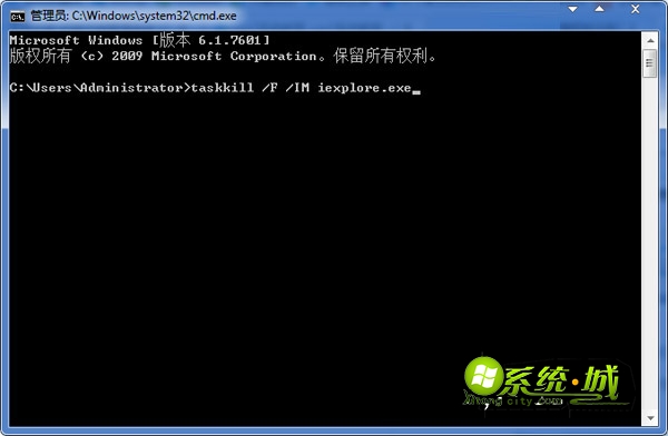 输入下列代码taskkill /F /IM iexplore.exe