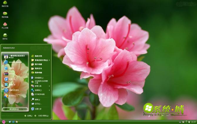 艳丽的杜鹃花xp主题壁纸