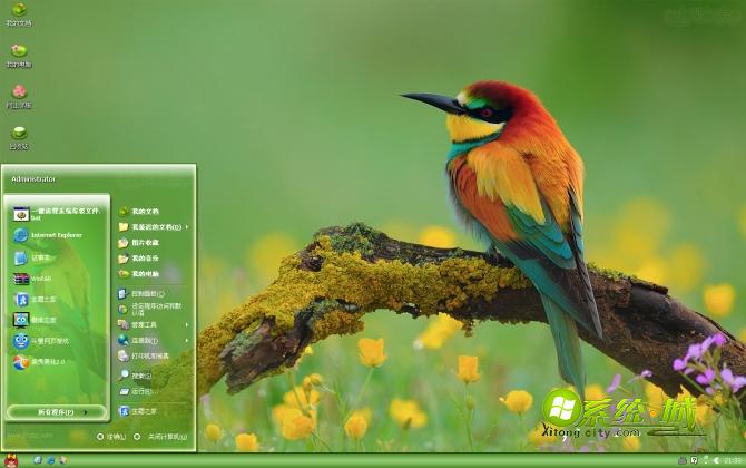 鸟语花香xp系统主题