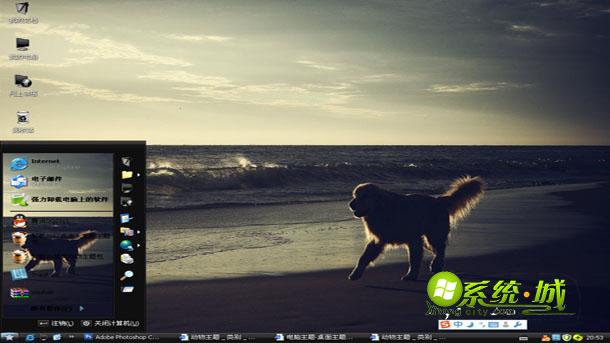 独自流浪的小狗win8主题包