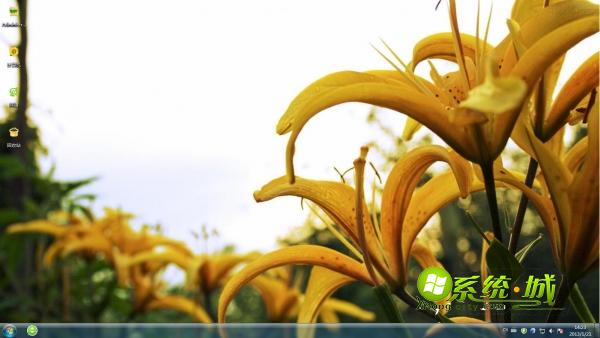 艳丽的大黄花超美图片win7桌面主题