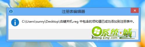 成功添加到注册表中