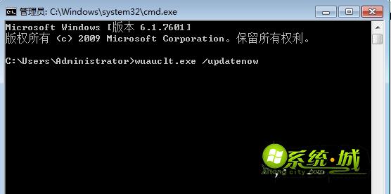 输入wuauclt.exe /updatenow